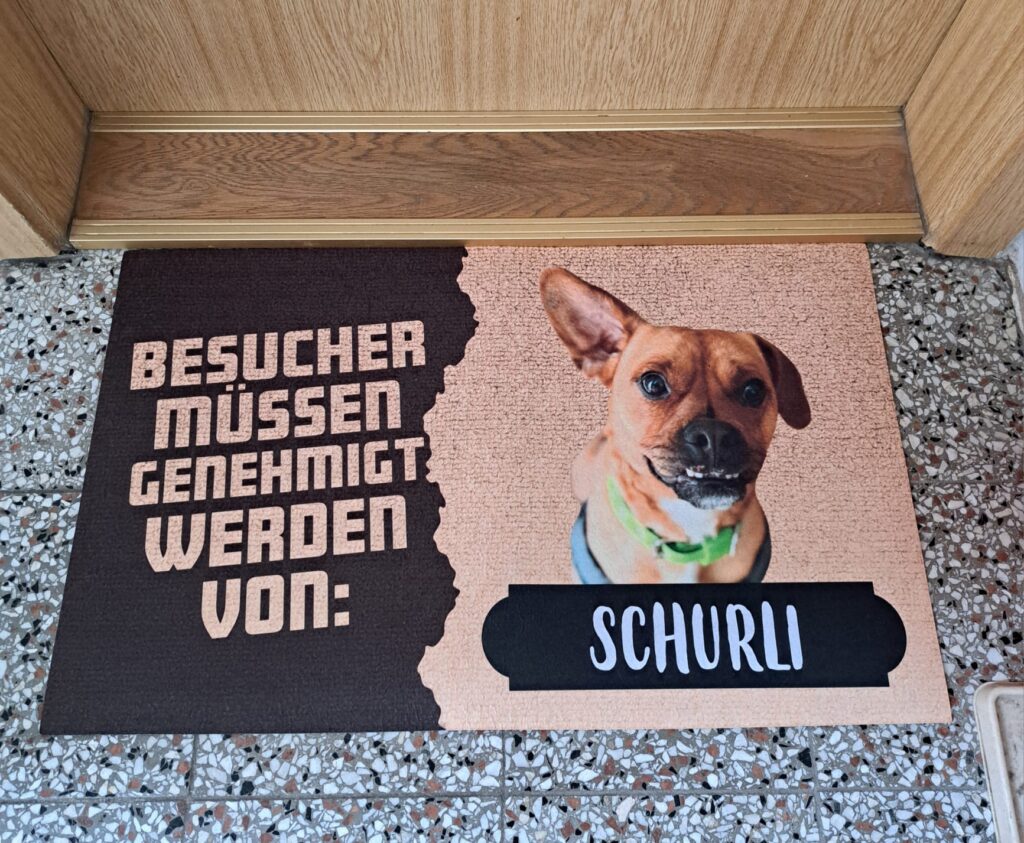 Bild #1 von Wolfgang